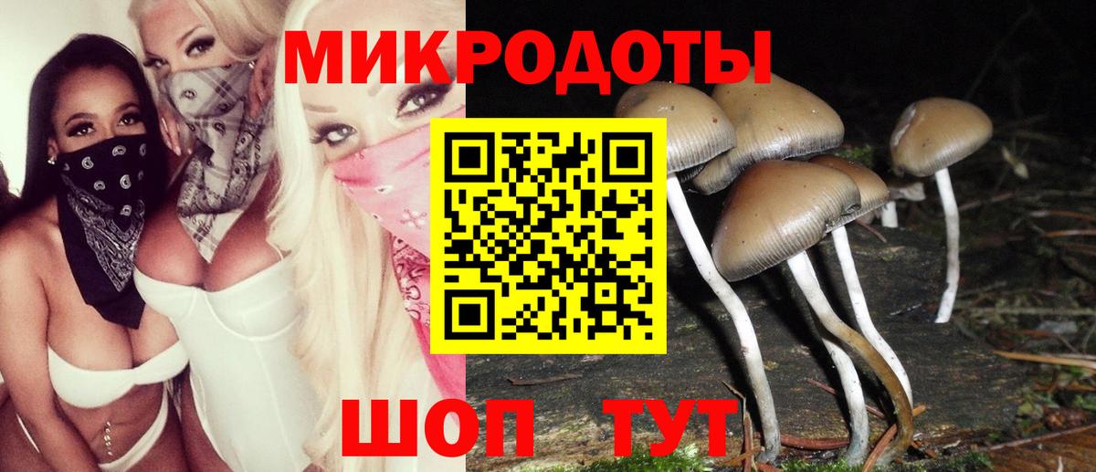 Псилоцибиновые грибы Magic Shrooms Тихвин