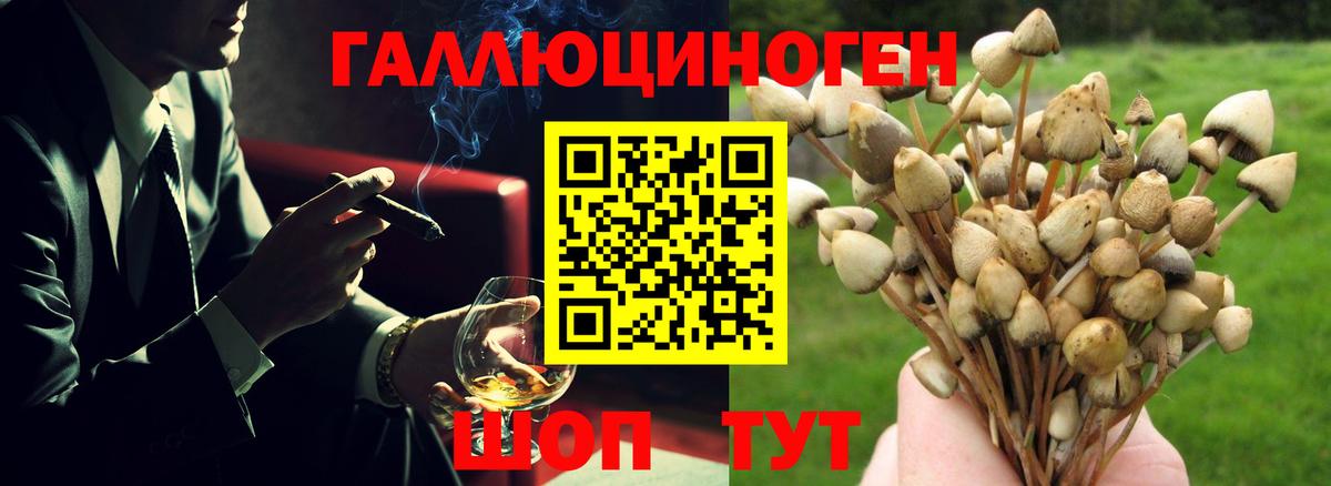 Тихвин  Псилоцибиновые грибы Magic Shrooms  Вход с VPN 